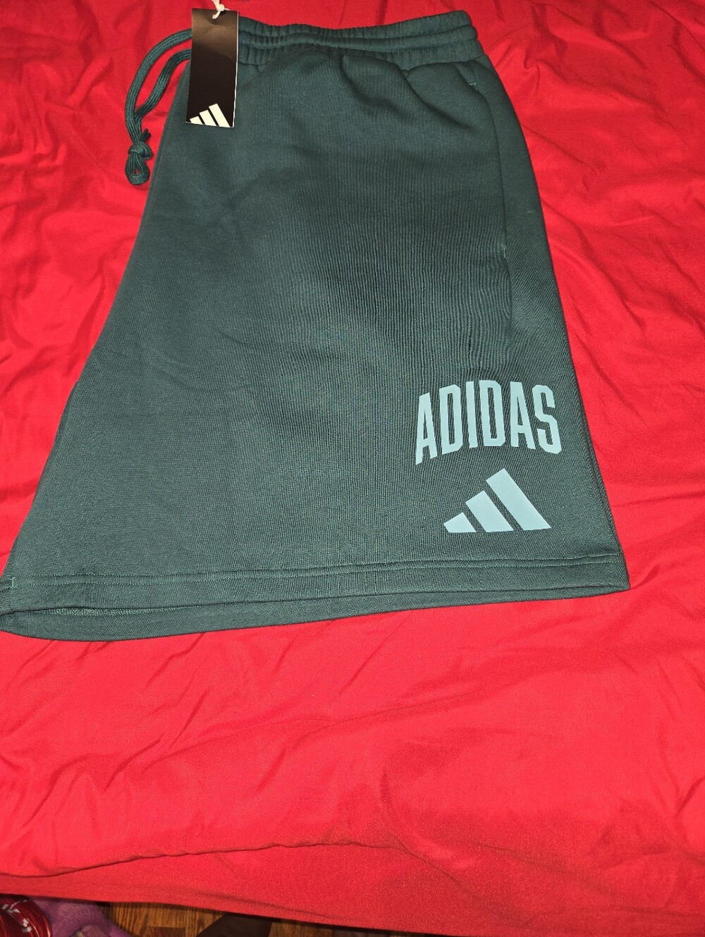 adidas Teal Athletic Men's Shorts